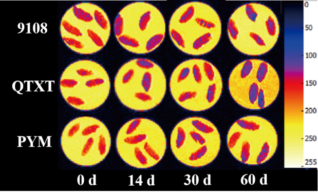 “在线娱乐入口杯”江南大学优秀案例解析|不同冷冻储藏期速冻米饭水分分布变化规律探究