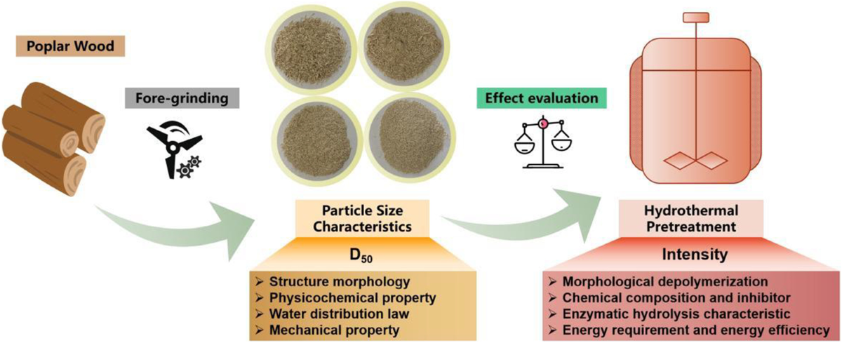 前沿应用|从微观水分看糖化潜力：在线娱乐入口 LF-NMR 揭秘生物质预处理的多尺度“黑匣子”